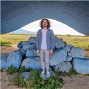 Laureato magistrale in Ingegneria informatica offre lezioni private in presenza di matematica